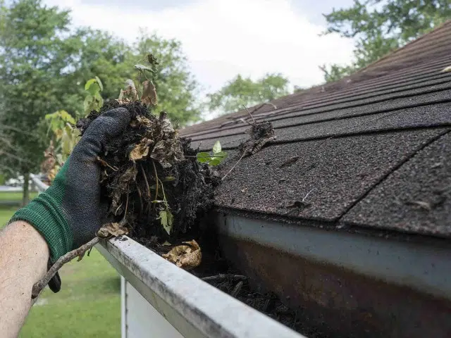 Gutter Cleaning Kildare, Soffits and Fascia Cleaning - All Clean Roof Cleaning