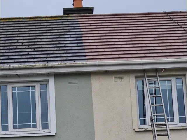 Roof Cleaning Company Kildare, Clean and Treat Roofs, Moss Removed from Roof